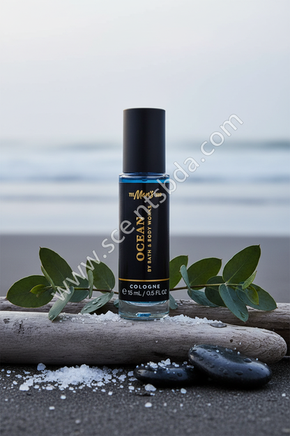 Coastal Driftwood Background