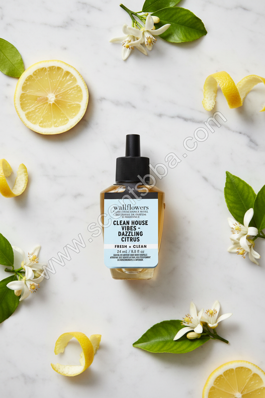 Clean House Vibes Dazzling Citrus Wallflower Refill - White Marble Background