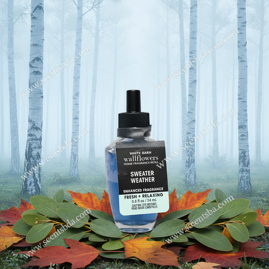 Sweater Weather Wallflower Refill - Misty Birch Forest Background