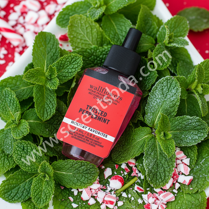 Twisted Peppermint Wallflower – Cool Peppermint & Spearmint Background